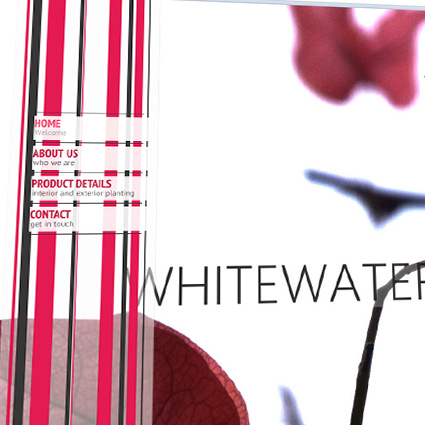 Main Portfolio Image